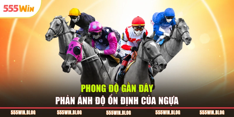 Phong độ gần đây phản ánh độ ổn định của ngựa